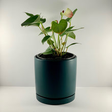 Load image into Gallery viewer, Flamingo Flower Teal Blue Planter 18cm