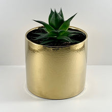 Load image into Gallery viewer, Aloe Cosmo Metallic Gold Planter 13cm