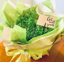 Load image into Gallery viewer, Herb Bowls with Parsley, Pizza Thyme & Oregano