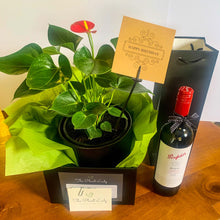 Load image into Gallery viewer, Flamingo Flower Black Planter 18cm with Penfold's Max's Shiraz