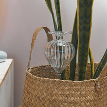 Load image into Gallery viewer, Plant Water Bubble - Ball
