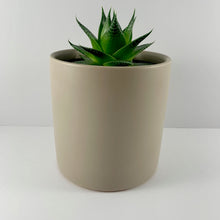 Load image into Gallery viewer, Aloe Cosmo Grey Planter 12cm
