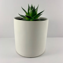 Load image into Gallery viewer, Aloe Cosmo White Planter 12cm
