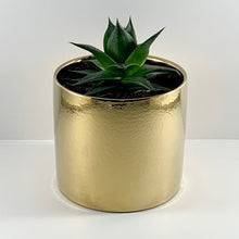 Load image into Gallery viewer, Aloe Cosmo Metallic Gold Planter 13cm

