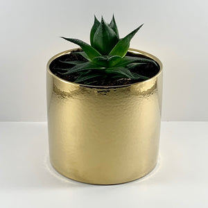 Aloe Cosmo Metallic Gold Planter 13cm