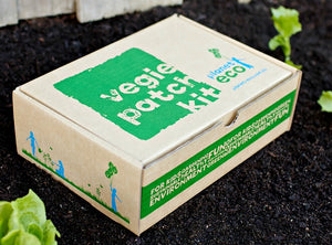 Vegetable Growing Kit